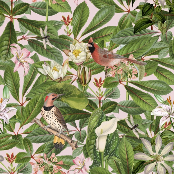 Birds Summer Paradise