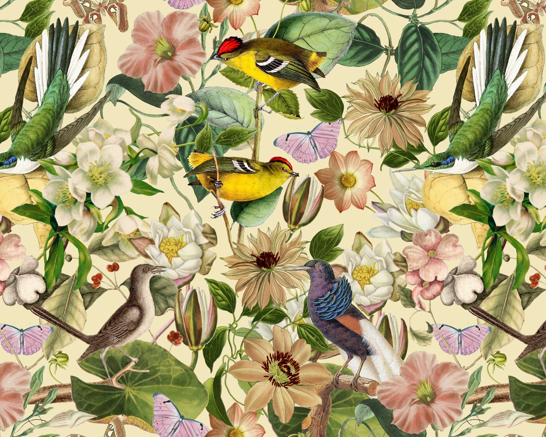 Birds Summer Garden Wallpaper | Buy Online at Happywall