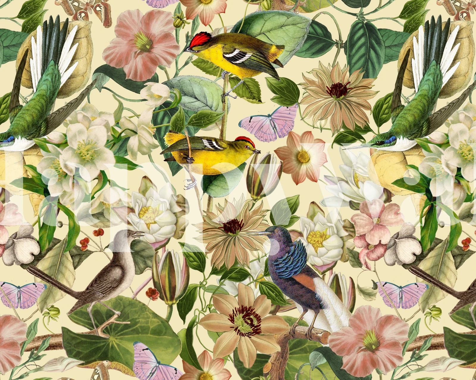 Colorful birds and flowers pattern on cream background wallpaper