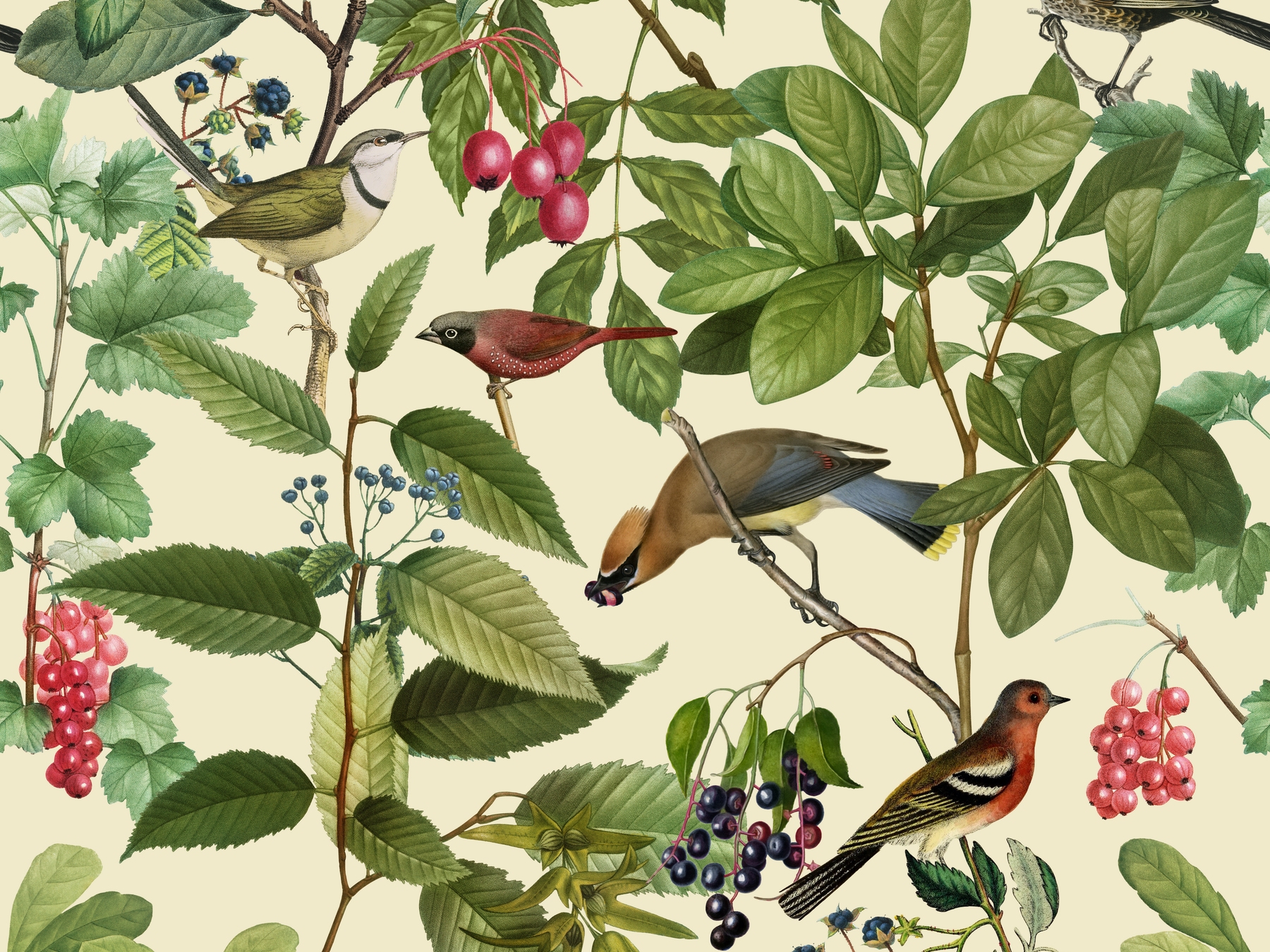 Birds and Berries Wallpaper - Happywall