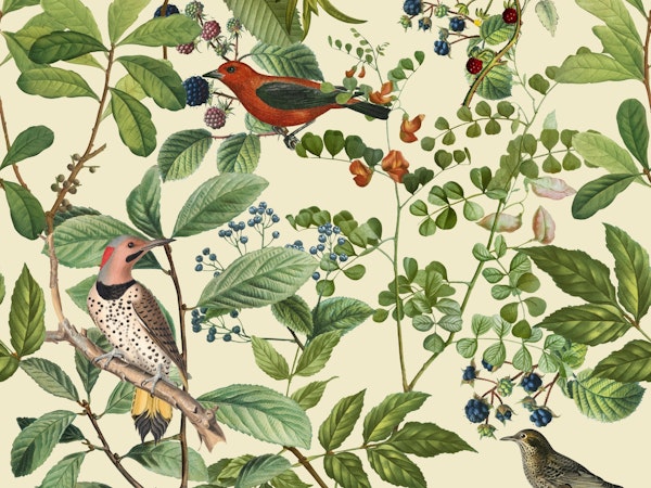 Birds And Berries II