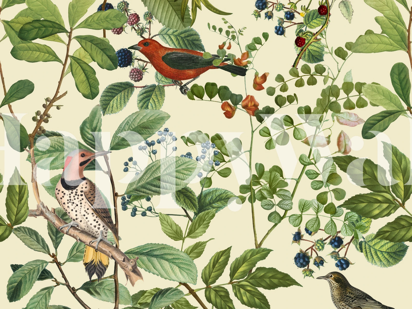 Vintage bird and berry floral wallpaper featuring colorful birds and green leaves on a light background.