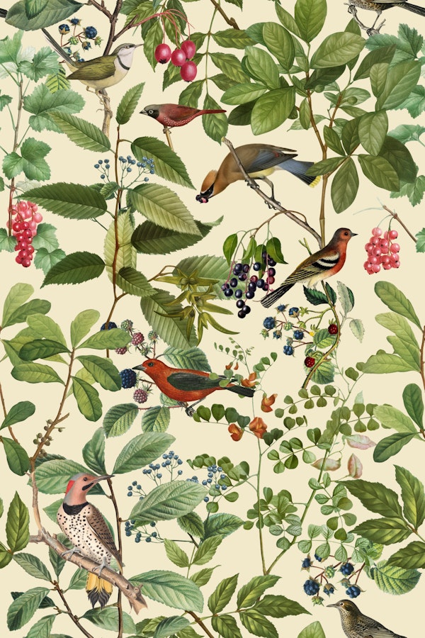 Birds And Berries II