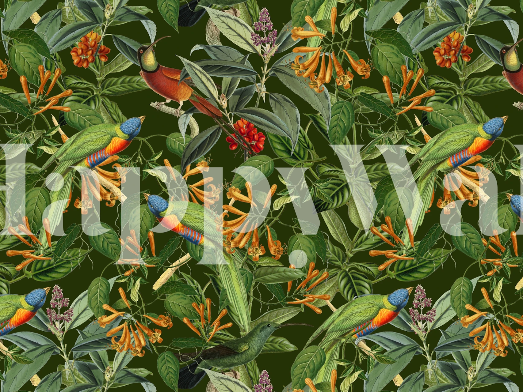 Lorikeets Jungle wallpaper in a room