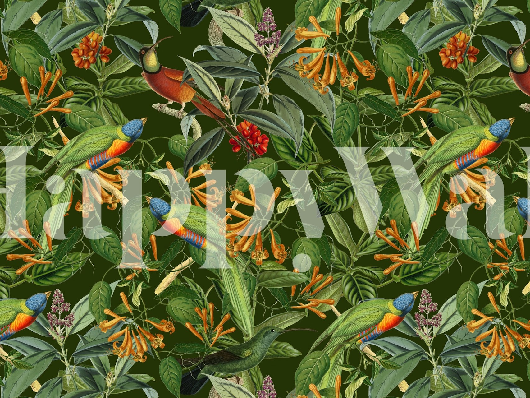 Lorikeets Jungle wallpaper in a room
