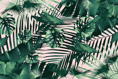 Τοιχογραφία