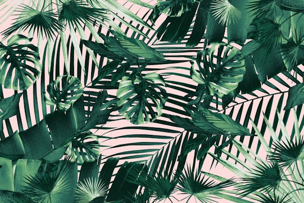 Tropical Jungle Siesta 3