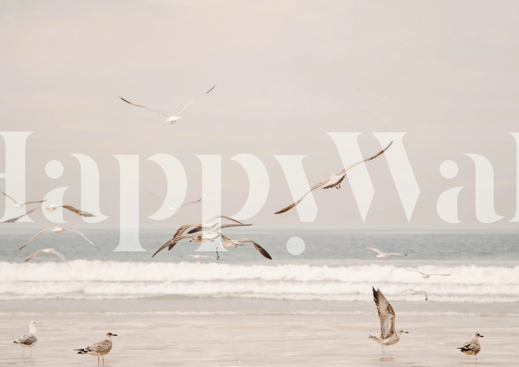 Wallpaper design of seagulls over the ocean