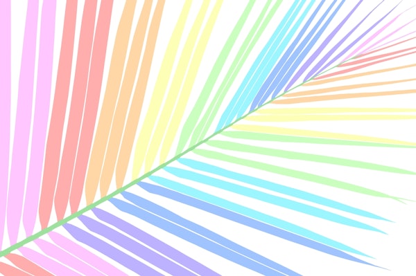 Rainbow Palm Leaf 2