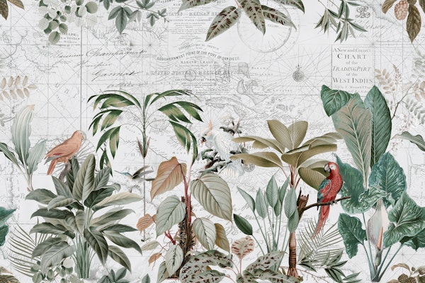 Exotic Birds Journey