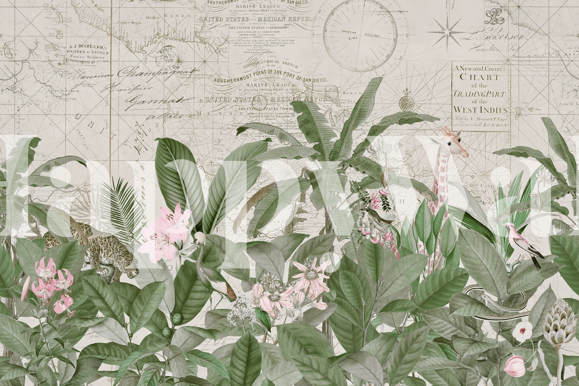 Vægmaleri i vintagestil med et gammeldags kort og blomsterillustrationer