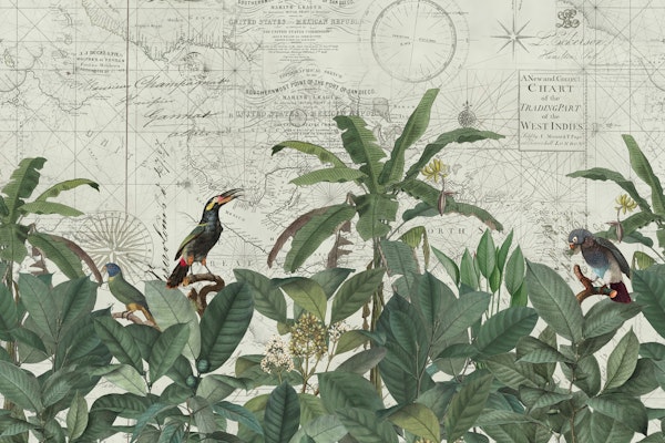 Explore The World II