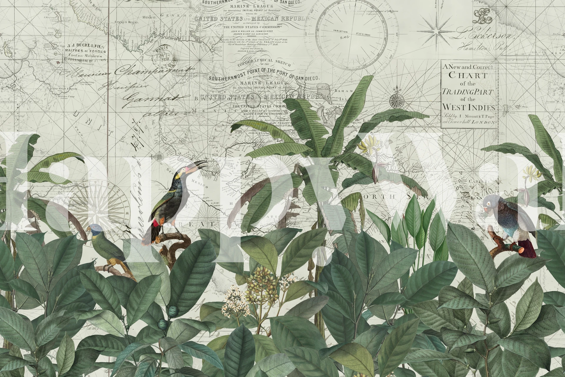 Agrega el papel tapiz Explore The World II a tu habitación