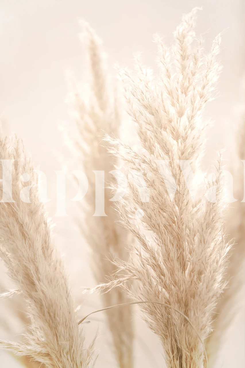 Pampas grass in soft beige tones wallpaper, nature-inspired design