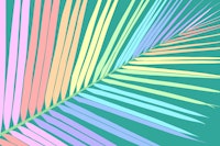 Rainbow Palm Leaf 3 papel pintado