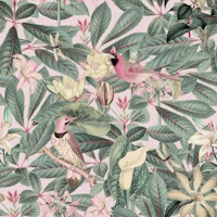 Birds Summer Pastel Paradise tapete