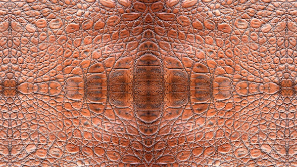 Texture Crocodile