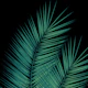 Green Palm Leaves Cali Vibes 1