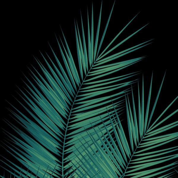 Green Palm Leaves Cali Vibes 1