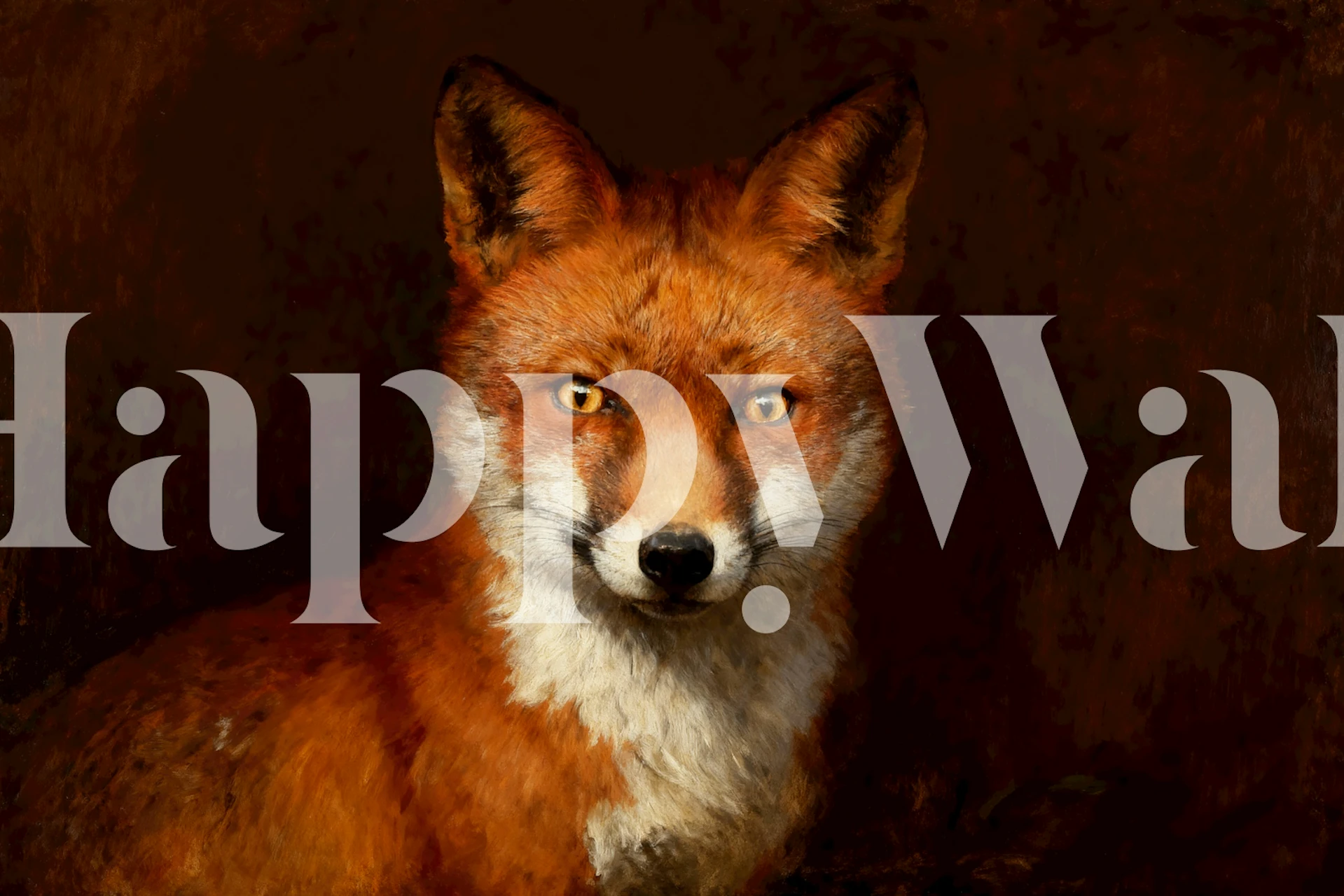 Intense fox gaze wall mural on black background