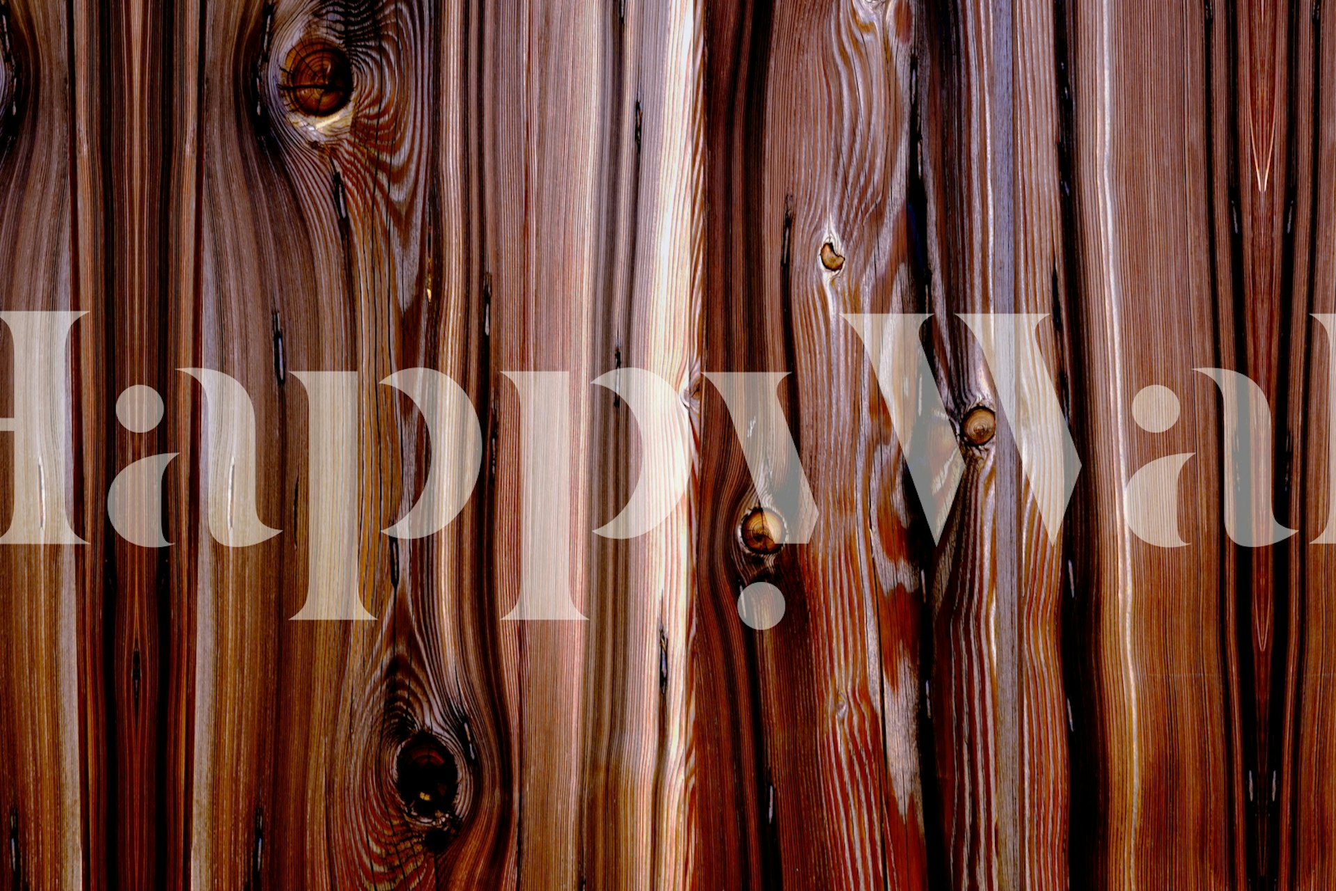Natural wood grain patterns in warm brown tones wallpaper