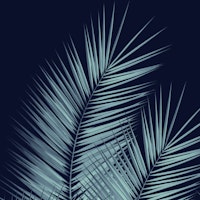 Blue Palm Leaves Cali Vibes 1 tapete