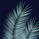Blue Palm Leaves Cali Vibes 1