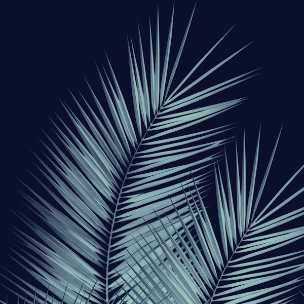Blue Palm Leaves Cali Vibes 1