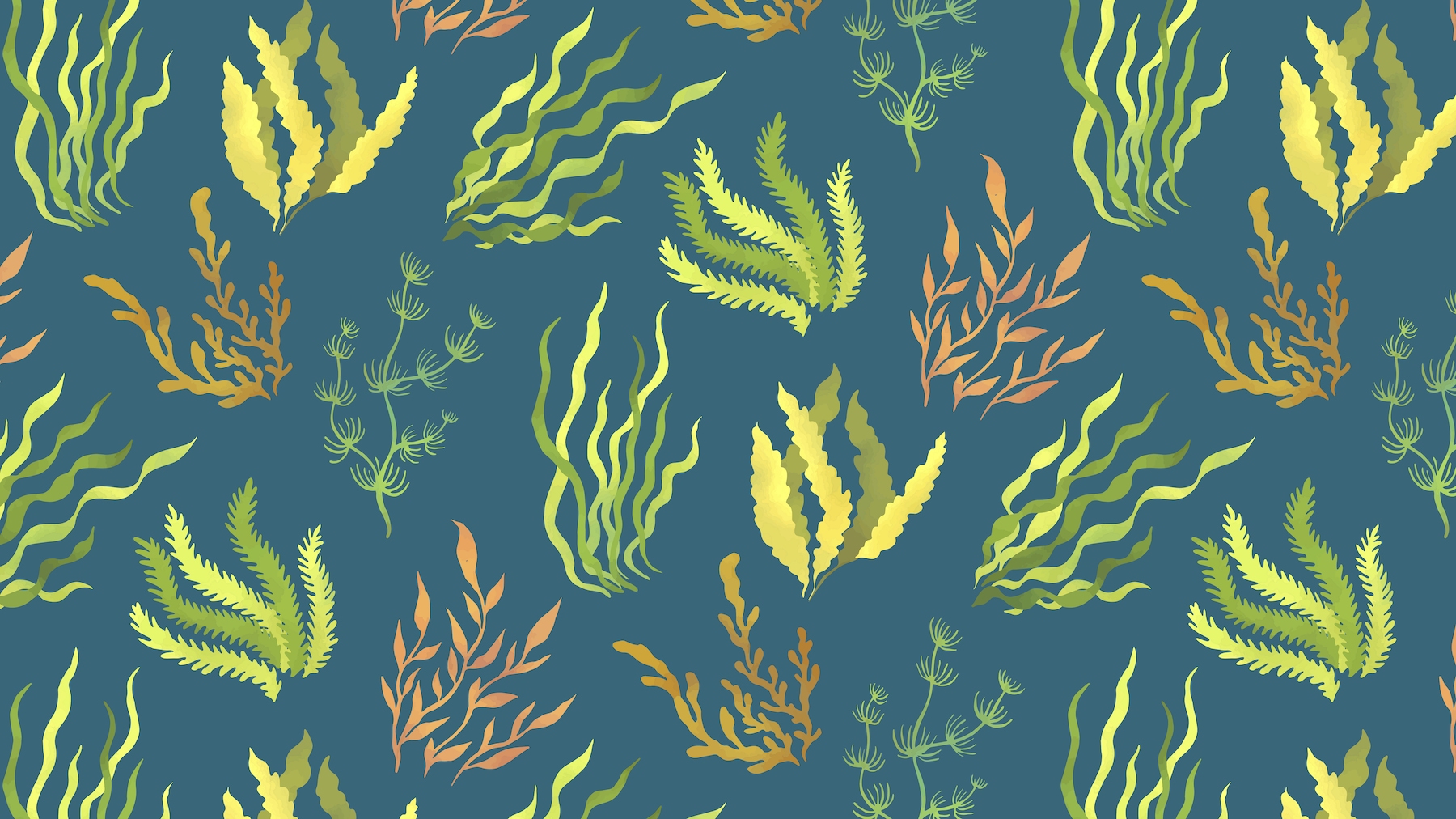 Teal Seaweed Wallpaper | Happywall