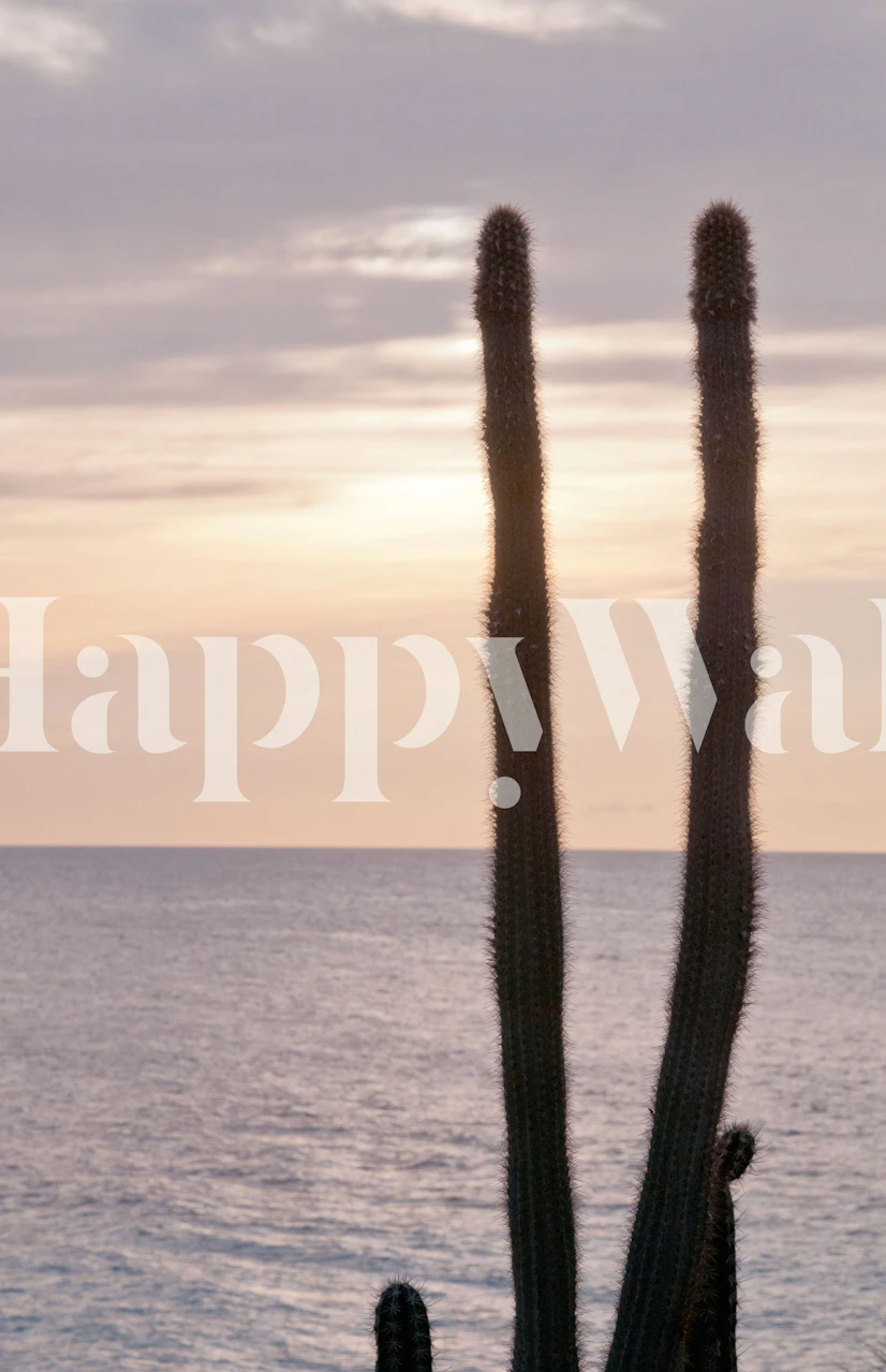 Caribbean ocean cacti wallpaper in a room