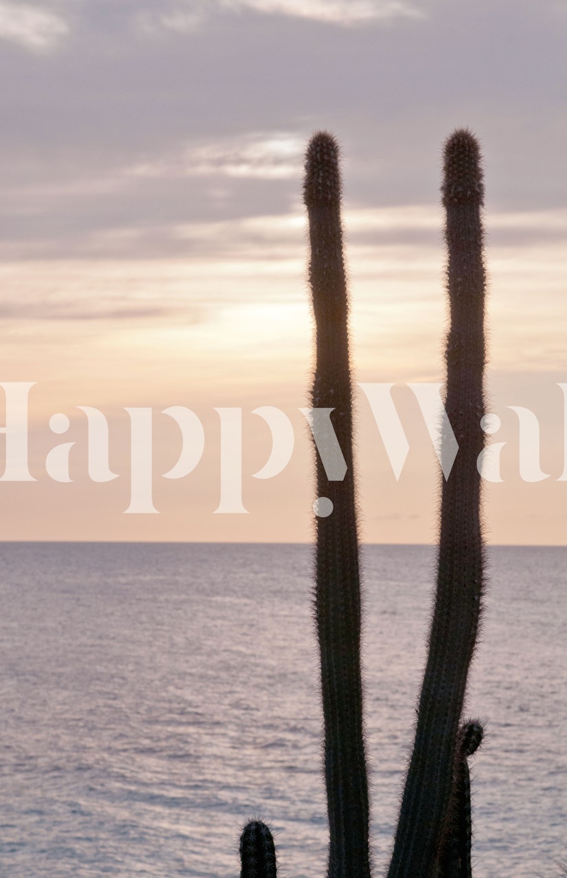 Caribbean ocean papel de parede de cactos em um quarto