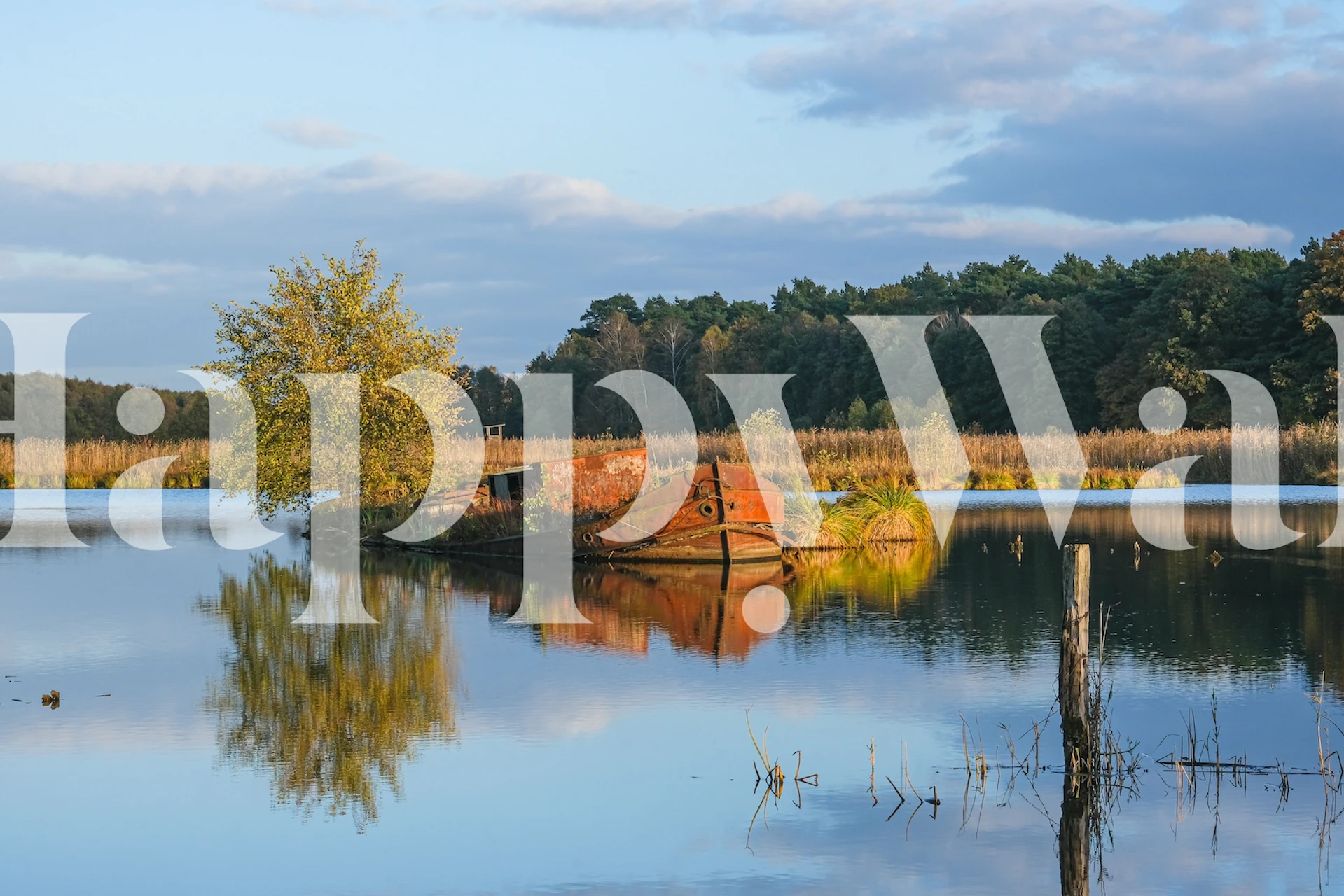Rusty shipwreck wallpaper in a room