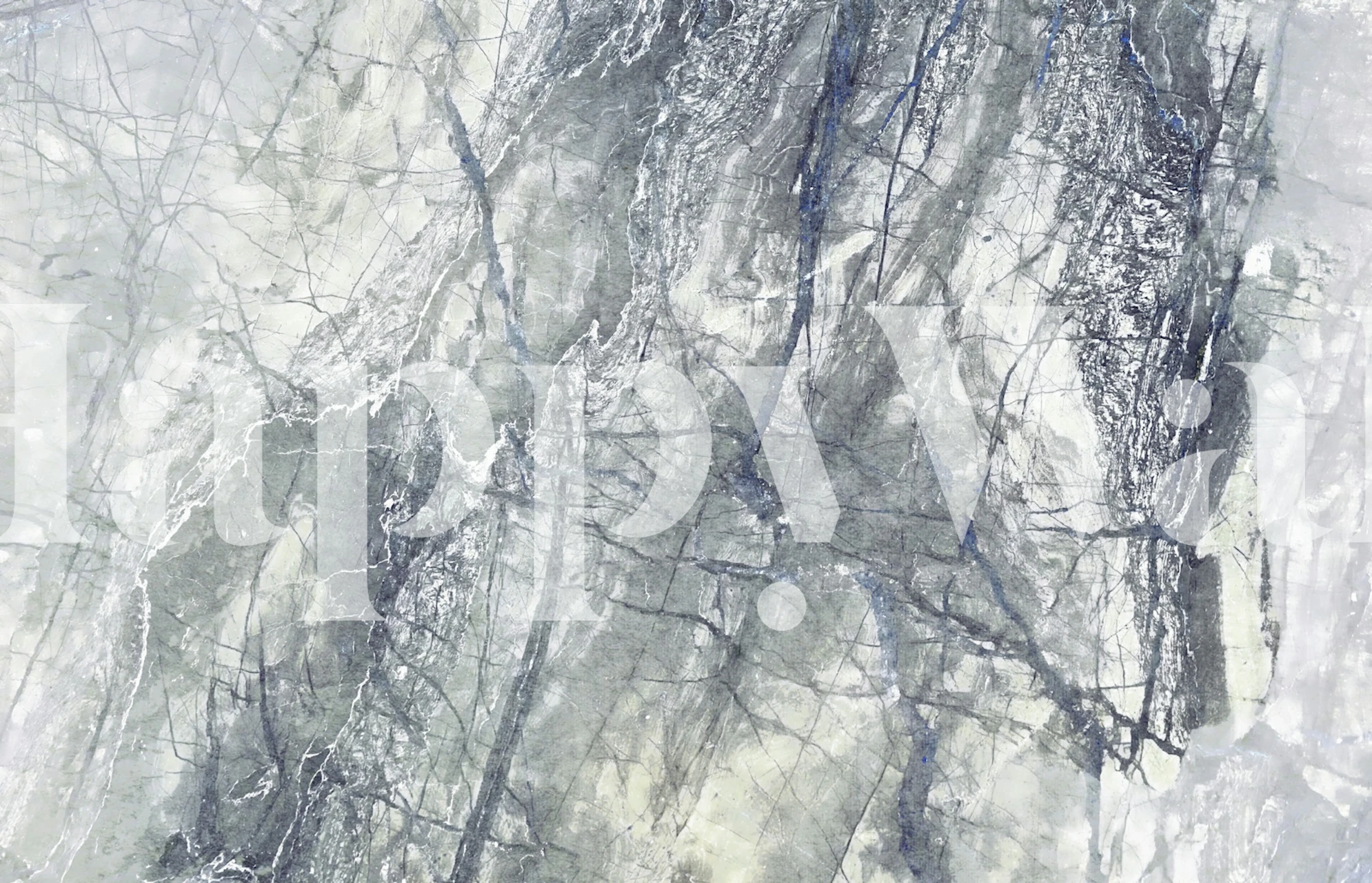 Grey marble pattern with streaks of dark and light tones wall mural