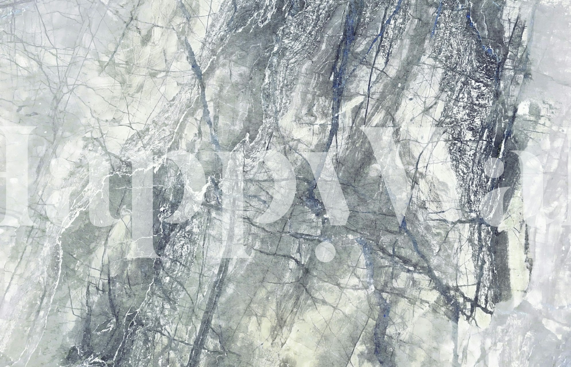 Grey marble pattern with streaks of dark and light tones wall mural