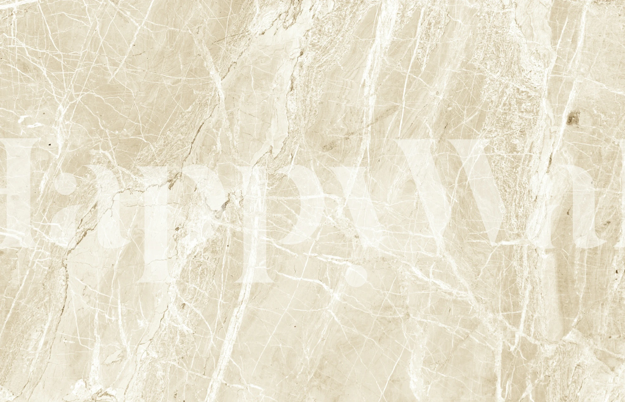 Sandy Marble Ocean wallpaper in a room