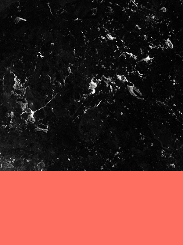 Living Coral Black Marble 1