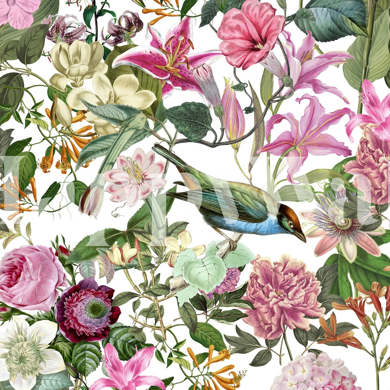 Colorful exotic birds and flowers on white background wallpaper