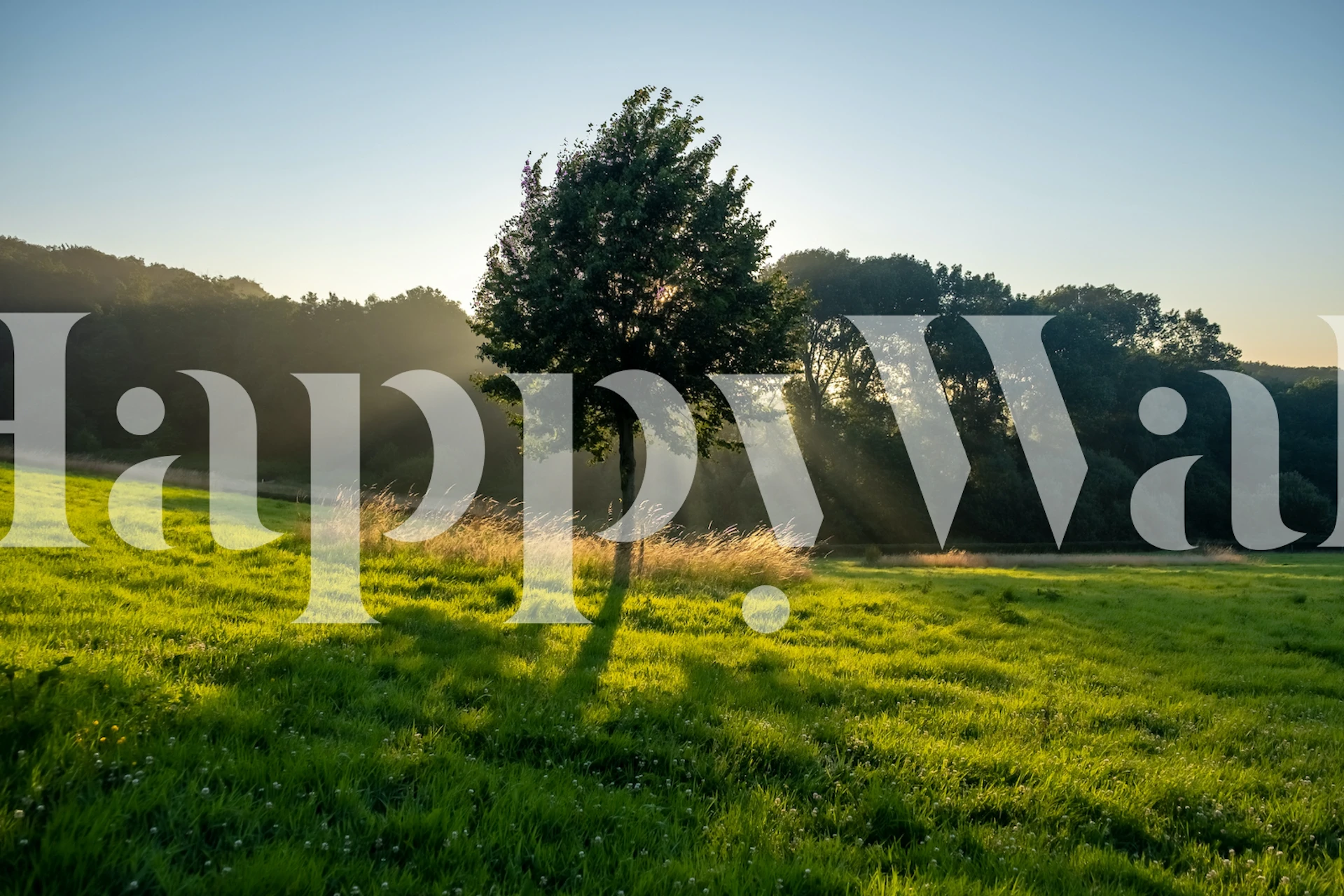 Sunset Landscape wallpaper weergegeven in de kamer