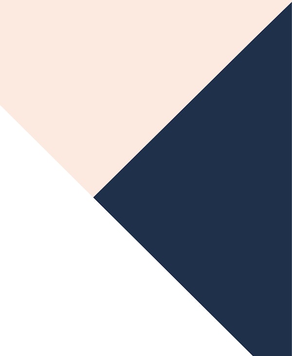 Blush Blue White Geometric 1