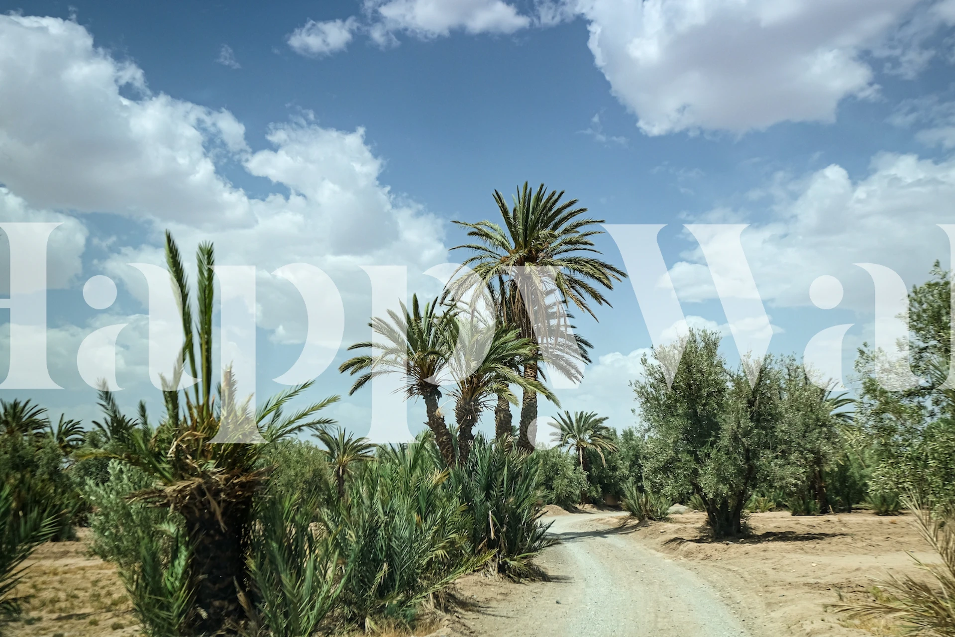 A peaceful road flanked by palm trees and greenery under a clear sky wall mural