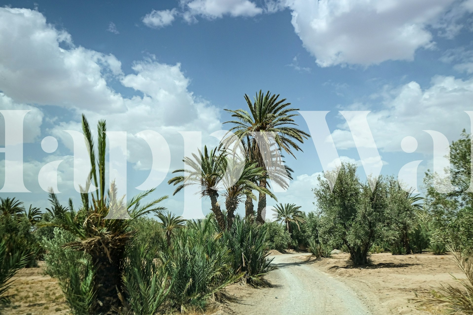 A peaceful road flanked by palm trees and greenery under a clear sky wall mural