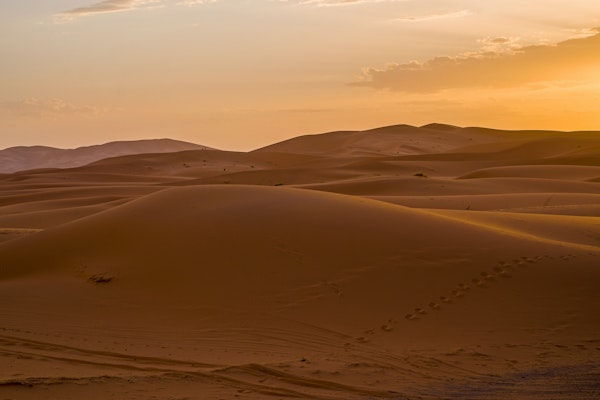 Moroccan Desert Sunset