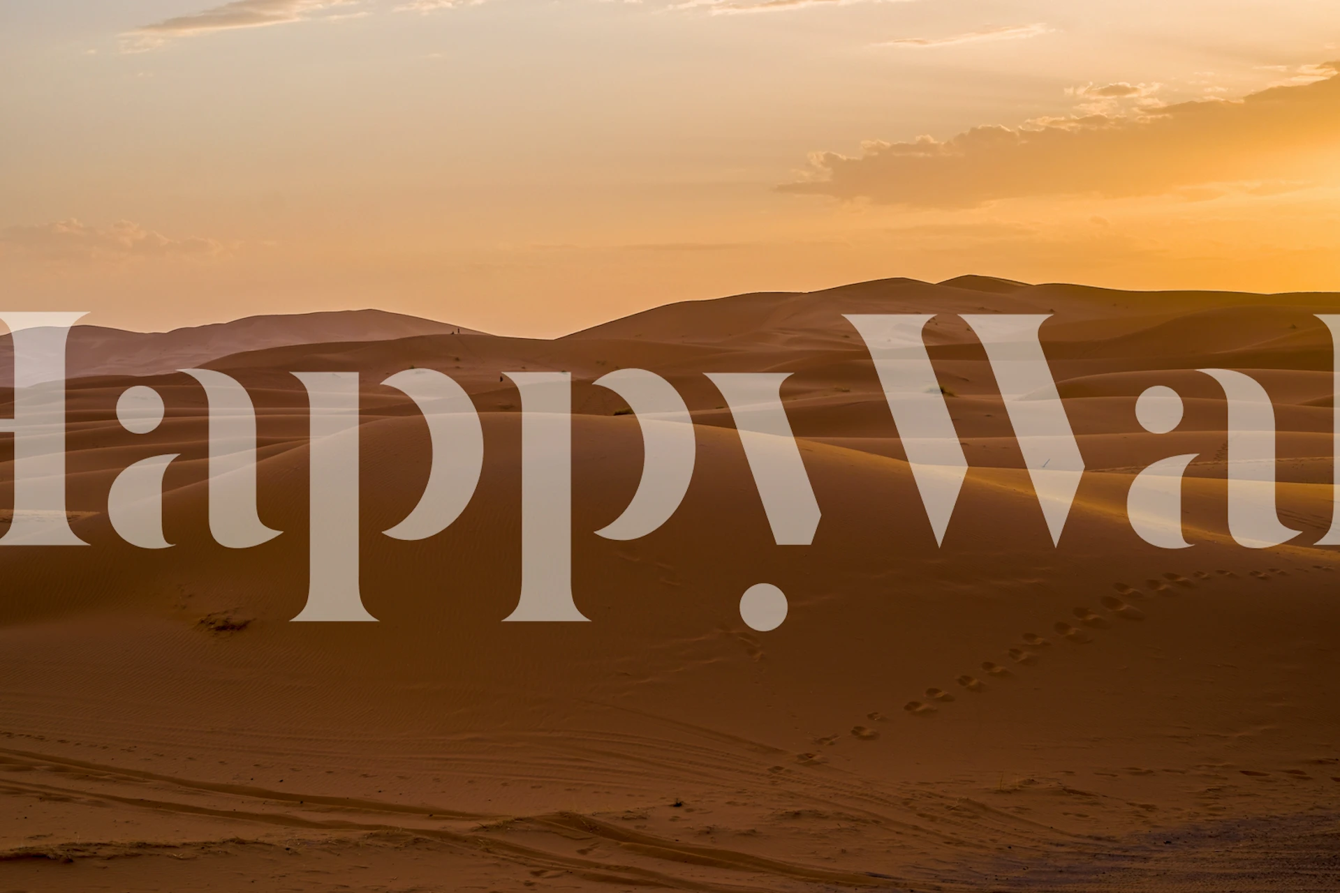 Golden sunset over rolling sand dunes in a Moroccan desert wall mural