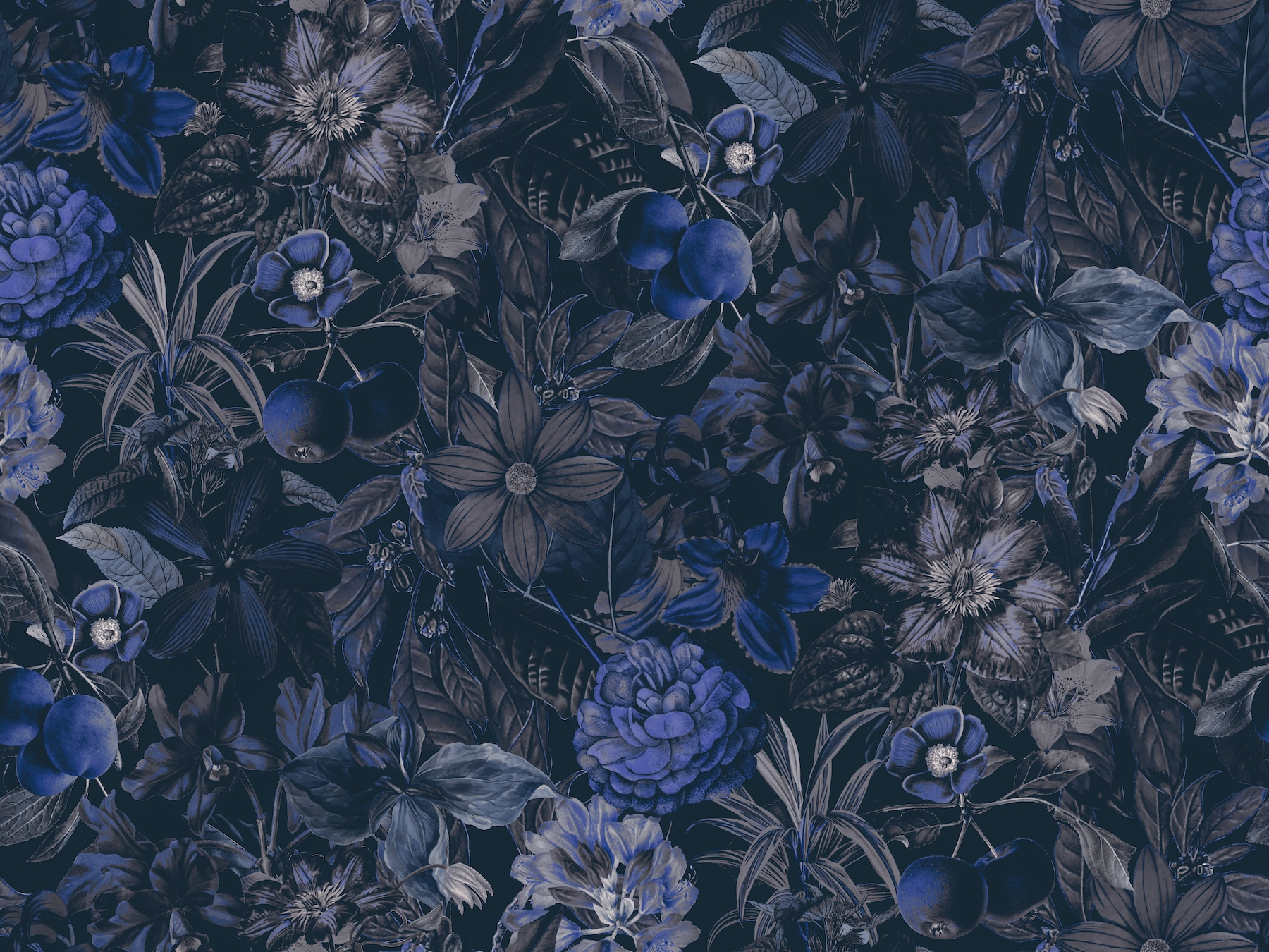 Blue Midnight Flower Garden wallpaper Happywall