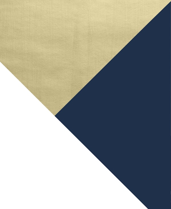 Gold Navy Blue White Geo 1