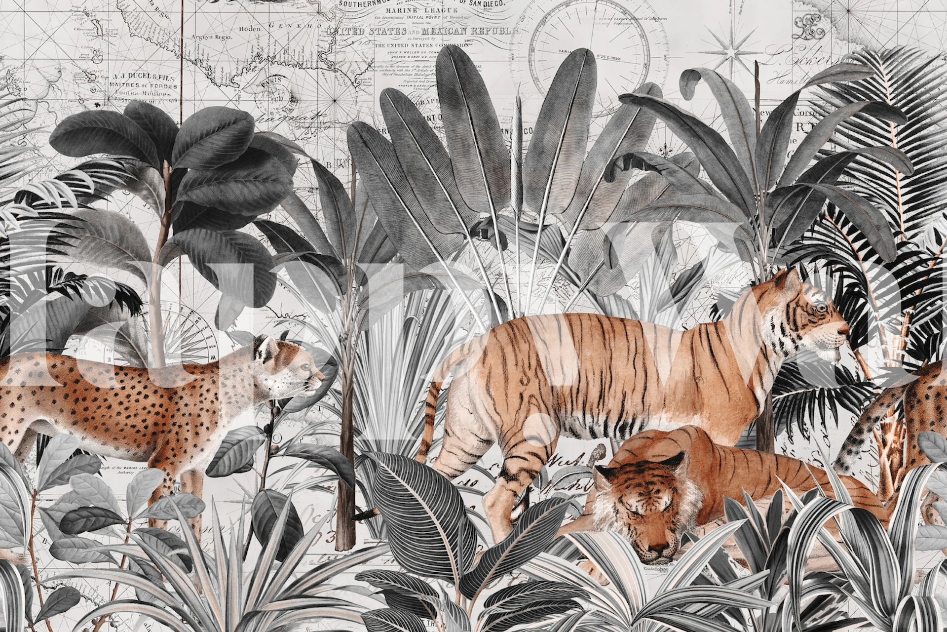 Tigers and a cheetah among tropical leaves in black and white wallpaper