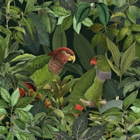 Green Parrots Jungle Paradise wallpaper