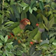 Green Parrots Jungle Paradise