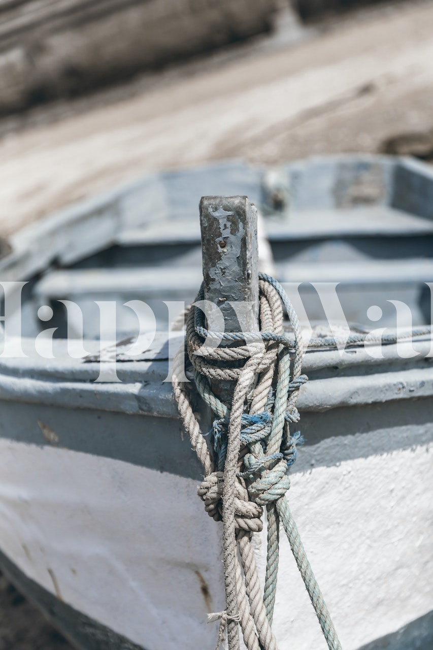 Cadiz Harbor Impression wall mural showing close-up of boat with tied ropes at the dock
