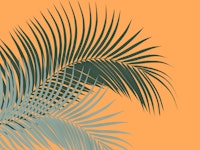 Palm Leaves Green Orange 1 wallpaper